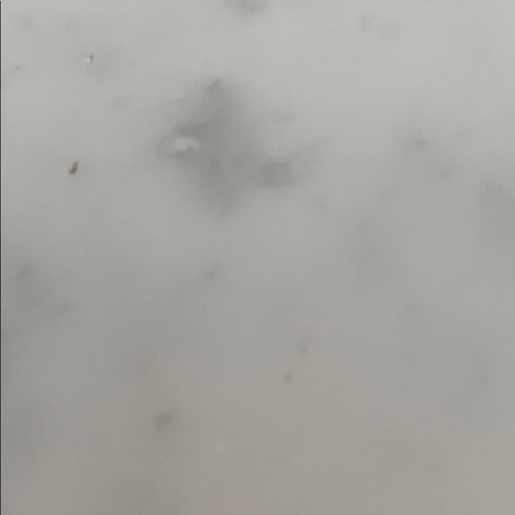 Meet your Posher, Jeremy - Picture 1 of 1